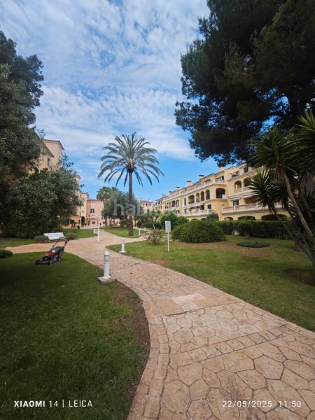 Foto 615b01ba-b5d6-4d5a-a1eb-5a2bee0f3e0a. Rent flat with fireplace heating parking pool in Maioris-Puig de Ros Llucmajor