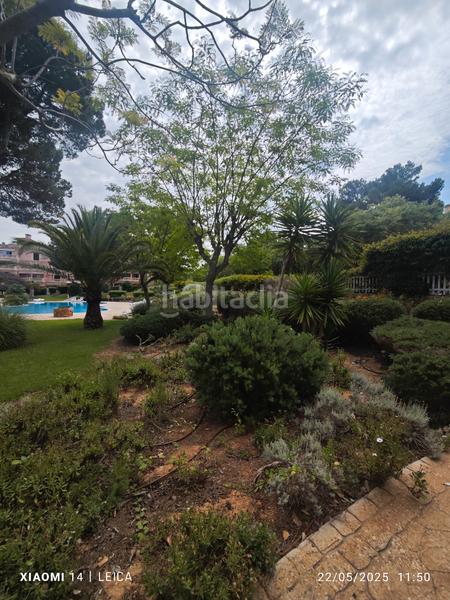 Foto 926f63b3-b206-48e8-a10c-4559937fcb51. Rent flat with fireplace heating parking pool in Maioris-Puig de Ros Llucmajor