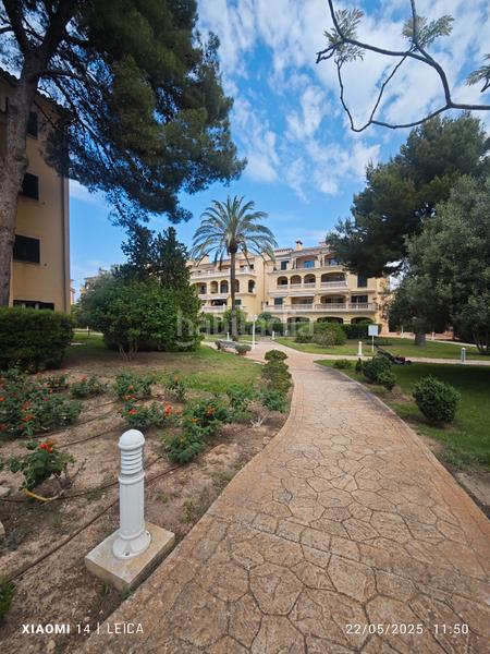 Foto b54f857a-d173-42a9-ac24-9f84f113ae32. Rent flat with fireplace heating parking pool in Maioris-Puig de Ros Llucmajor