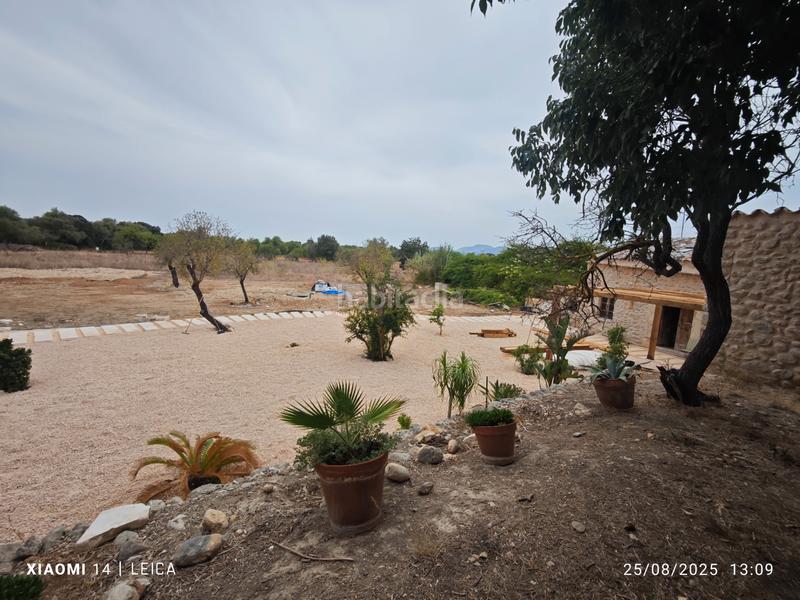 Foto 2dd06ff8-1a20-4587-8dba-1e60208b212e. Alquiler masía casa de campo , buguer, mallorca en Búger