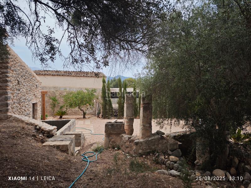 Foto 4053ae17-da24-41a7-b4ba-4d51f3b31520. Alquiler masía casa de campo , buguer, mallorca en Búger