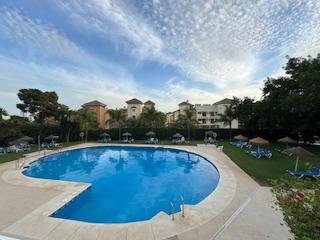 Lloguer Estudi  Avenida marbella arbolada 5