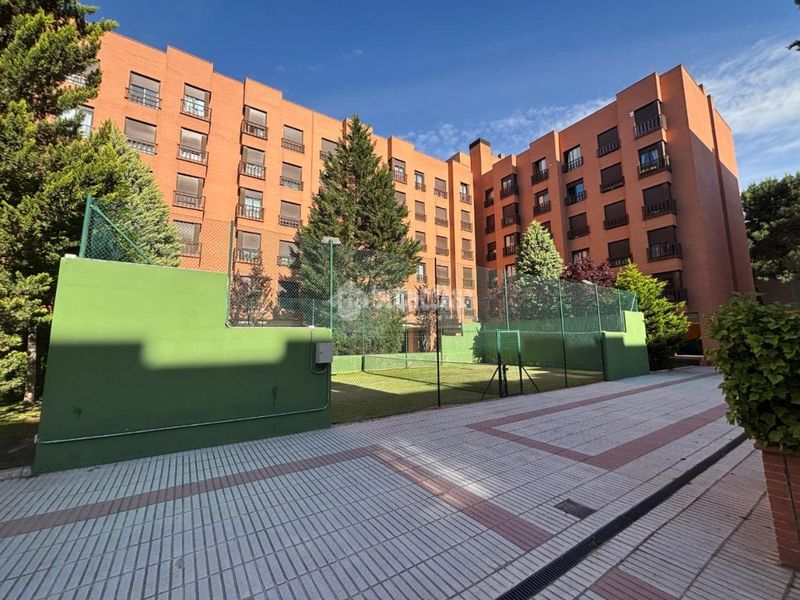 Foto 568bbeed-75ac-4334-b6a4-3c22e75c7b74. Pis a Rejas Madrid