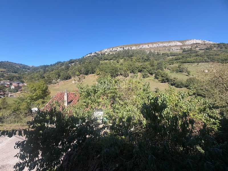 Foto d8323711-568b-4ba2-8315-e2f32f16ccc1. Casa aparellada a busta-entrelasm 2 a Arredondo