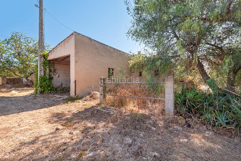 Foto 09f40ded-db12-4da9-9d22-71839b6b3e2d. Finca rústica a n/a a Campos