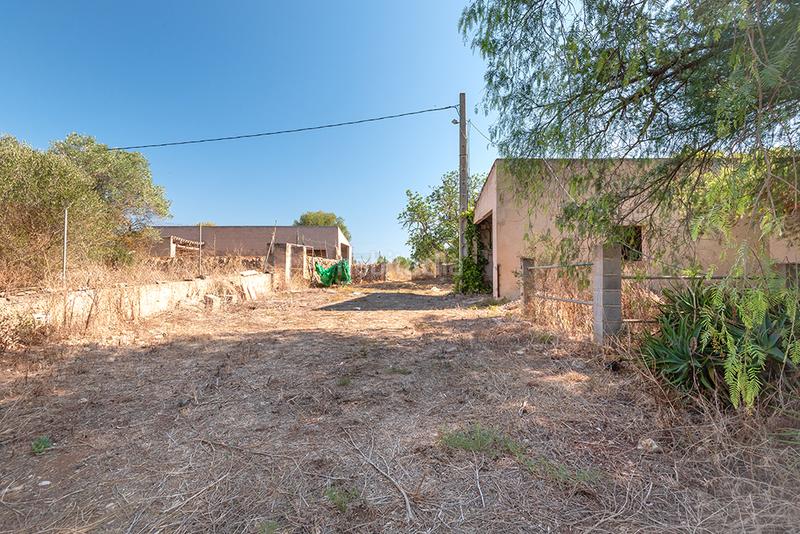 Foto 457044f4-ede9-4fa9-ac79-4ad5a633bda8. Finca rústica a n/a a Campos