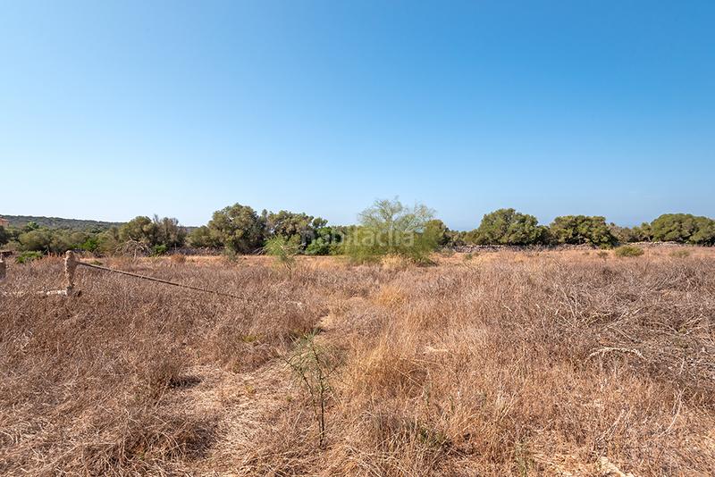 Foto 47d104aa-6160-417e-a555-0fadb480457e. Finca rústica a n/a a Campos