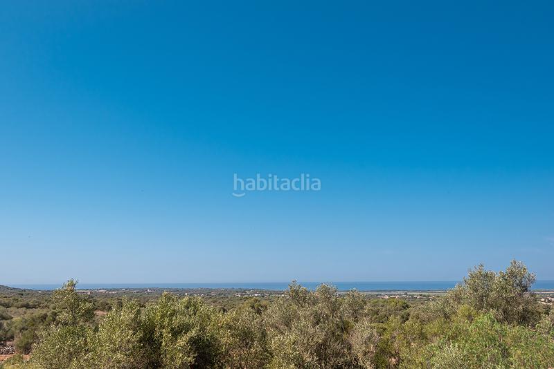 Foto 574ded73-2808-4fbf-adc9-5aa5a5777dfd. Finca rústica a n/a a Campos