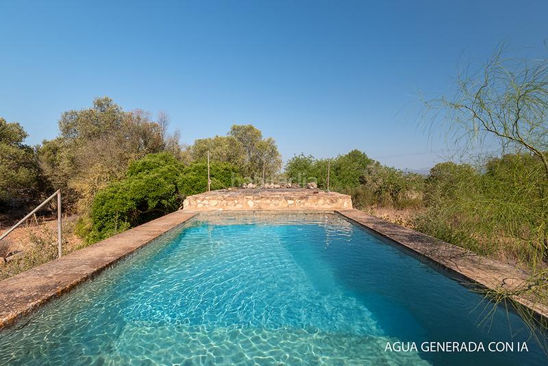 Foto 64a50f8f-69cc-4f97-bab6-85b303657cec. Finca rústica a n/a a Campos