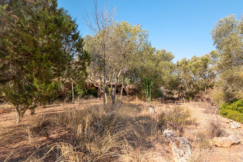 Foto 78dfbdec-e977-4352-aefe-15c066503ade. Finca rústica a n/a a Campos