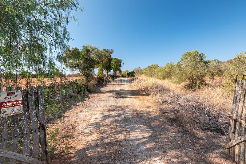 Foto 98f3a0bc-4d1b-41b6-8529-fed5ce01f7ec. Finca rústica a n/a a Campos