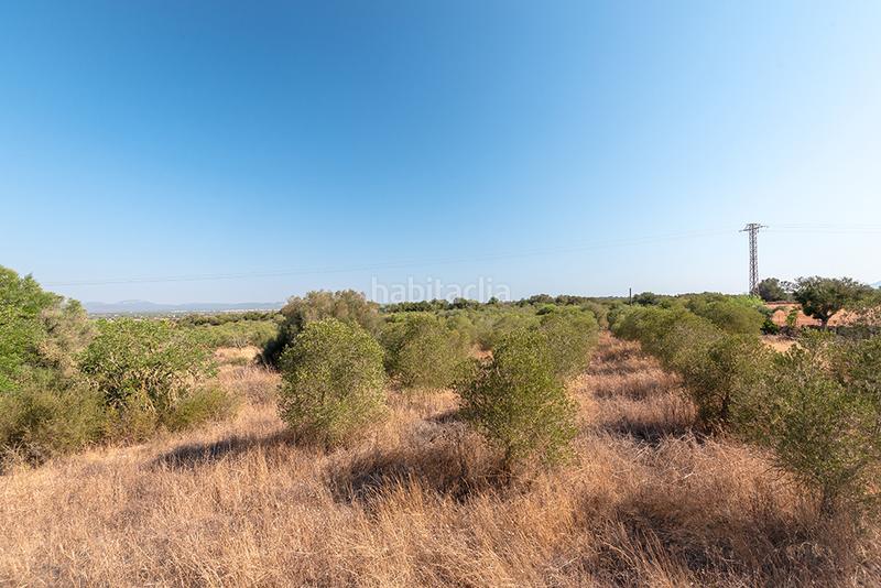 Foto b28a9cdf-5e23-49d9-87d9-8a0383ce6751. Finca rústica a n/a a Campos