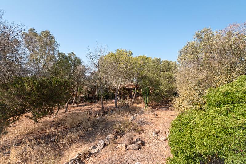 Foto e2ff13b1-0a06-472a-8862-95b2ffab40e9. Finca rústica a n/a a Campos