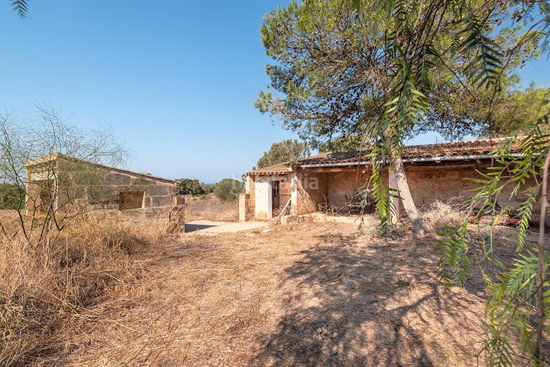 Foto f985edf8-d5e5-4b86-938d-4a2168e319c2. Finca rústica a n/a a Campos