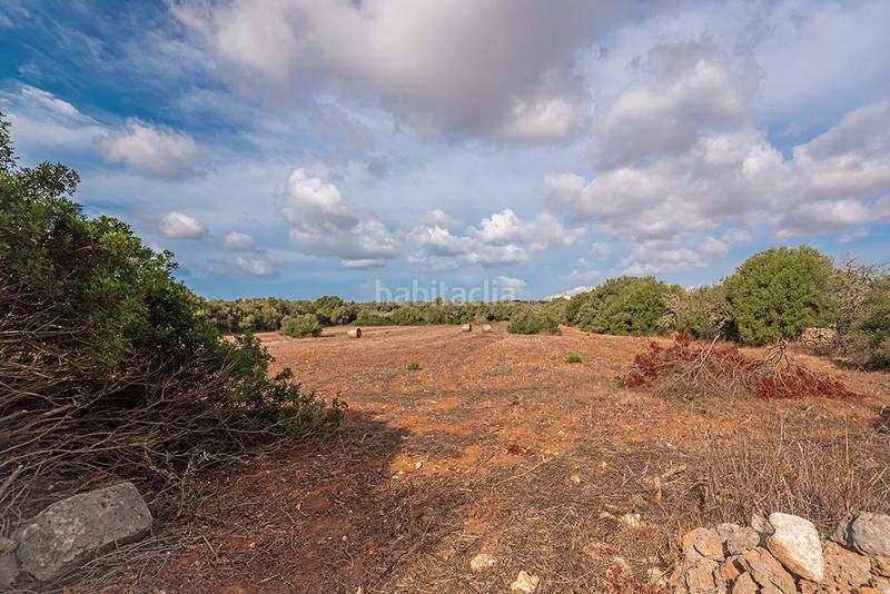 Foto 9c2e44c1-cc3d-46cd-9129-289684ac01e3. Finca rústica a Ses Salines poble Ses Salines
