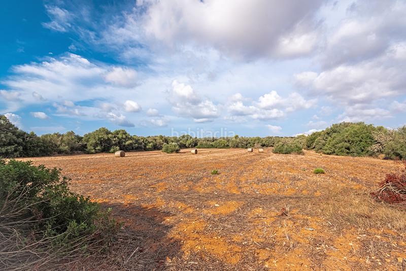 Foto c2e19dcb-e39a-48d4-9b03-7454a89c2bcc. Finca rústica a Ses Salines poble Ses Salines