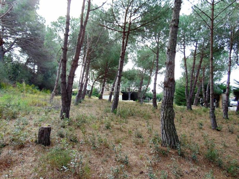 Foto c579cbc8-d6fa-4808-8d4f-3695e9863f67. Terrain résidentiel dans Puig Ses Forques - Torre Colomina Sant Antoni de Calonge