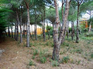 Terreny residencial  Carrer carrer de l'alguer. Terreno urbano a 1,3km de la playa