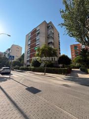 Pis a Aluche
