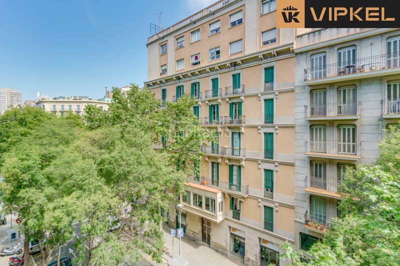Foto bf663d75-5641-471d-8915-af139f3f721a. Piso en Sant Antoni Barcelona