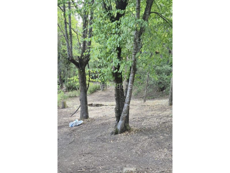Foto 00670a1d-386d-4cd8-b55b-a78d2a3a55c1. Terreny residencial a Navacerrada