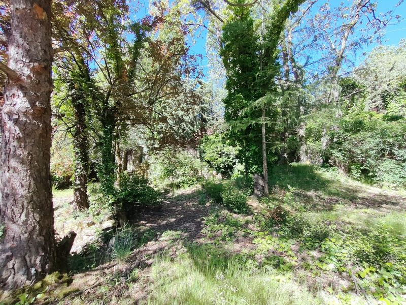 Foto 39e94919-de14-492a-b06a-06e6128f5af1. Terreny residencial a Navacerrada