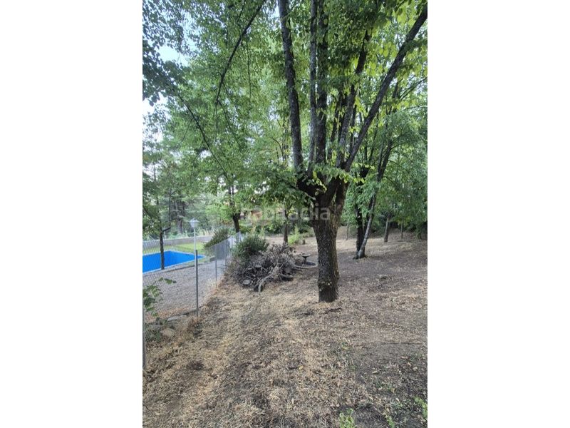 Foto ccf6713c-16b3-4c83-aa0f-06dee0ca9993. Terreny residencial a Navacerrada