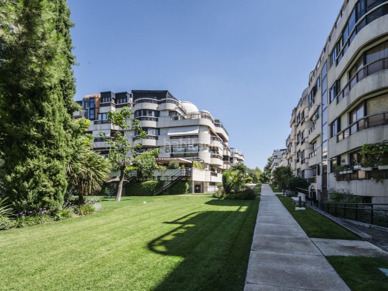 Foto 0e11102b-7e6a-4a7f-8ddf-bcb427ffe444. Rent flat in Aravaca Madrid