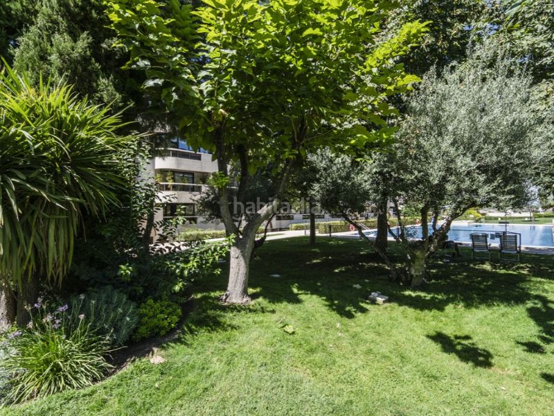 Foto 1c62aa9d-ac32-4e5b-afd6-b3f56c9caf42. Rent flat in Aravaca Madrid