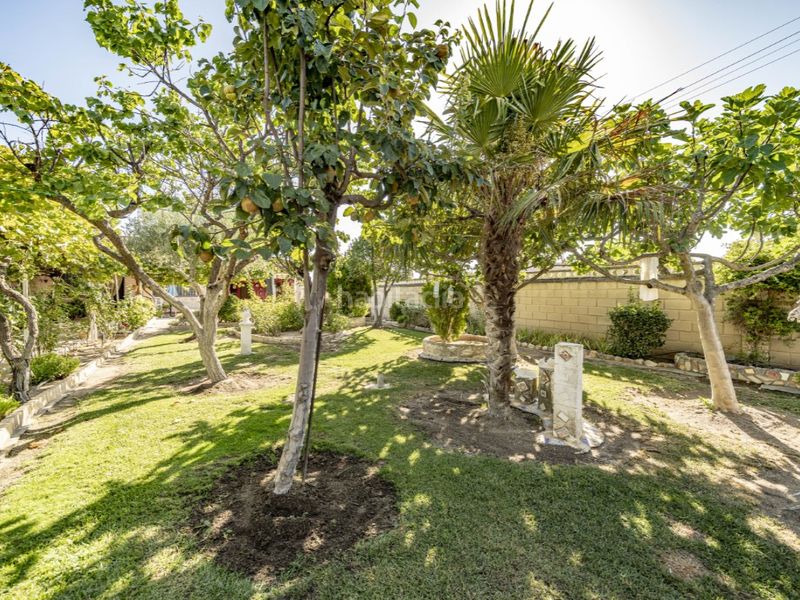 Foto ff6d3ead-1641-444e-9b7c-1cf1f5c5945c. Casa a Escalona