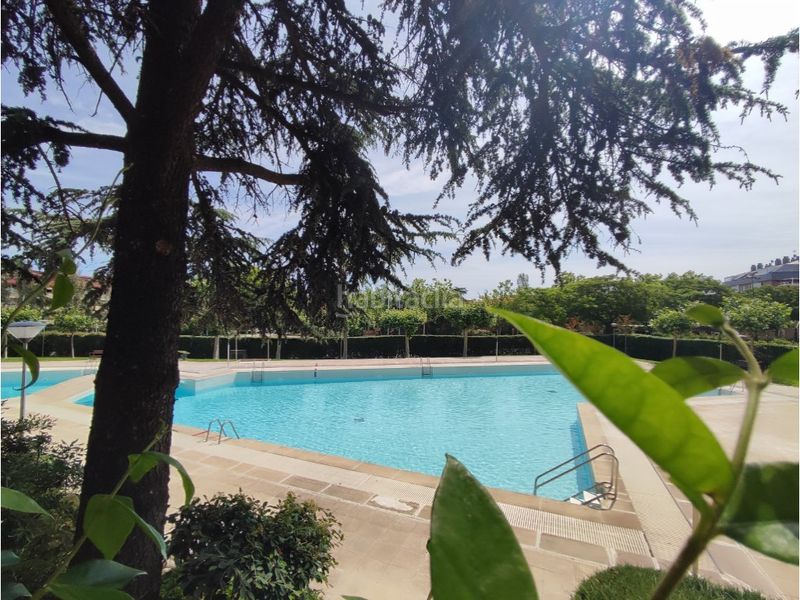 Foto 6183a9c7-0e7c-43cb-803a-72862f184367. Planta baixa amb aparcament piscina a Casco Antiguo Majadahonda
