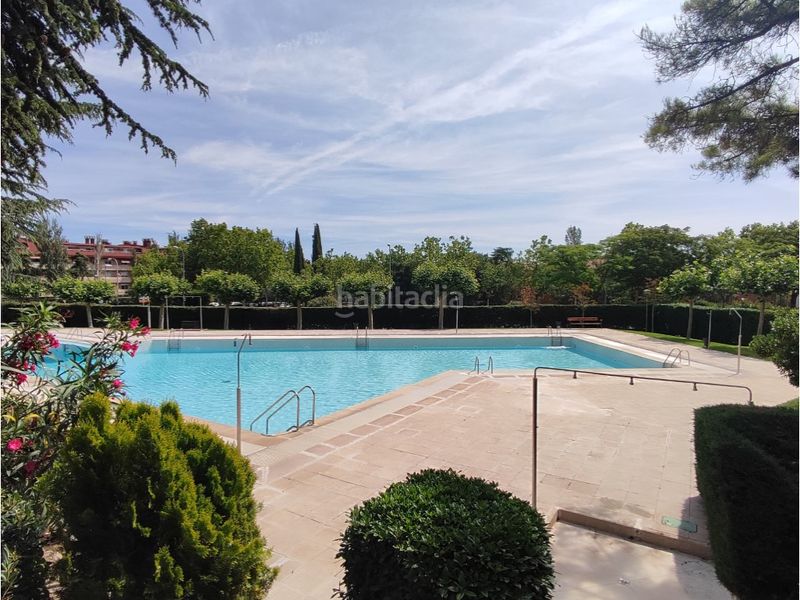 Foto 9f1502da-d385-4f86-8086-38b66a9ca7c8. Planta baixa amb aparcament piscina a Casco Antiguo Majadahonda