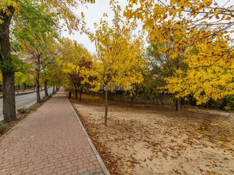 Foto 2aae9fe5-4869-4b4e-a47e-9a306b46a93c. Xalet a urbanización La Moraleja La Moraleja