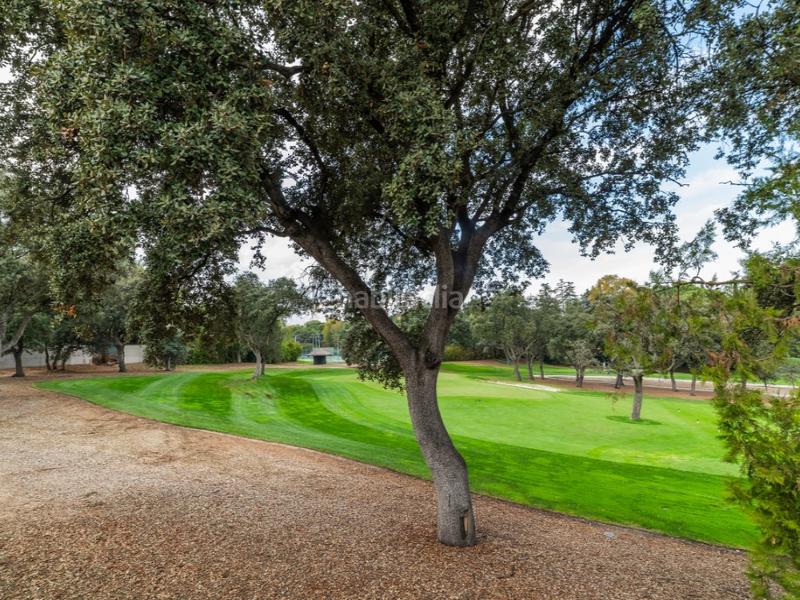 Foto 4dd1bddd-b8f3-47ea-b1ad-bfaa649c06fa. Xalet a urbanización La Moraleja La Moraleja