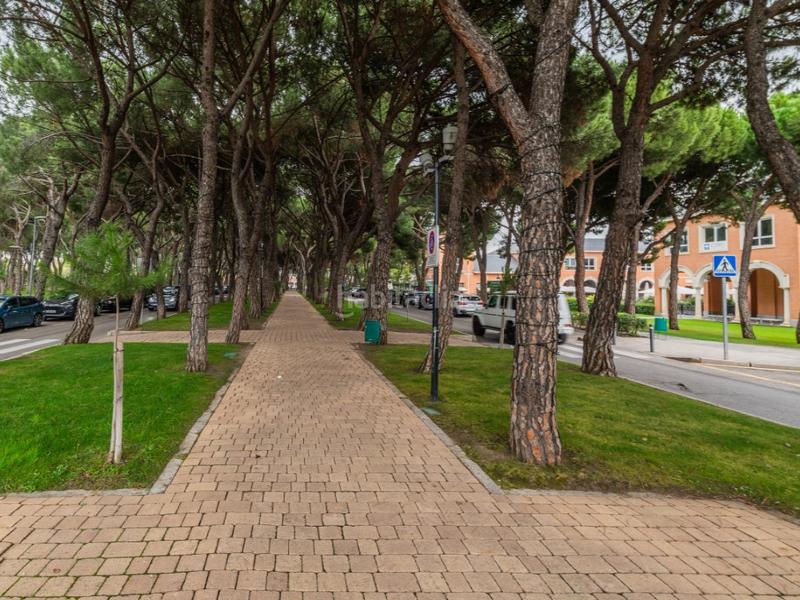 Foto c30ebbd9-502a-4a18-95f7-da7e0b167102. Xalet a urbanización La Moraleja La Moraleja