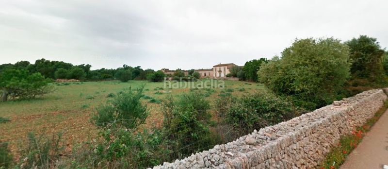 Foto dae1fbca-94fc-4c1f-b2e2-c5121e2d551b. Casale in Vilafranca de Bonany
