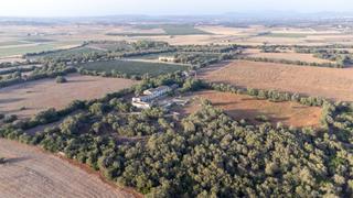 Mas à Vilafranca de Bonany. Gran finca rústica a reformar en venta en villafranca de bonany,