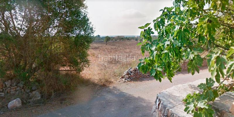 Foto c50de367-cf6a-4adf-ad53-36ec499358b5. Finca rústica a Es Llombards Santanyí