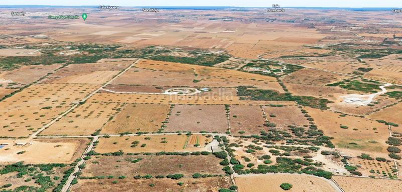 Foto c9806cf7-875b-4694-a515-86857804195e. Finca rústica a Es Llombards Santanyí