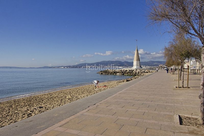 Foto 4156a56f-75e8-49c0-8980-d1e9fe0a79cd. Finca rústica a Es Portixol-Es Molinar Palma de Mallorca