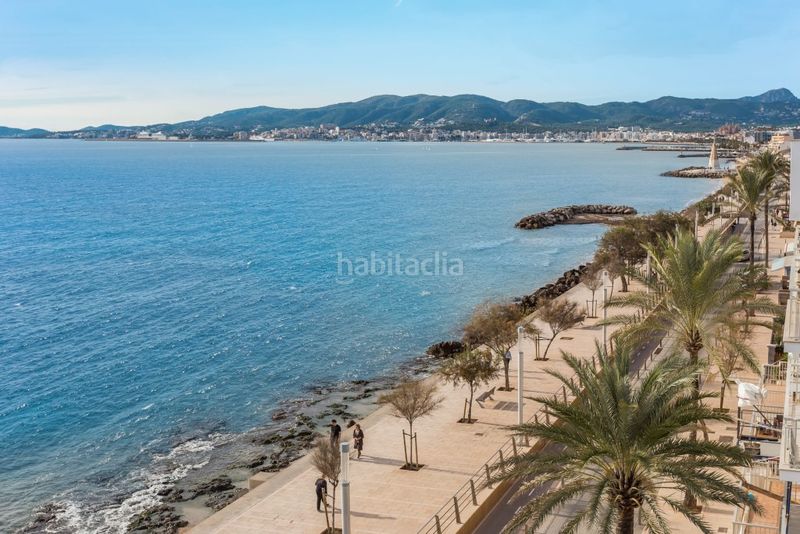 Foto d1e5e7de-7c72-49f7-9dbe-8cb626247b98. Finca rústica a Es Portixol-Es Molinar Palma de Mallorca