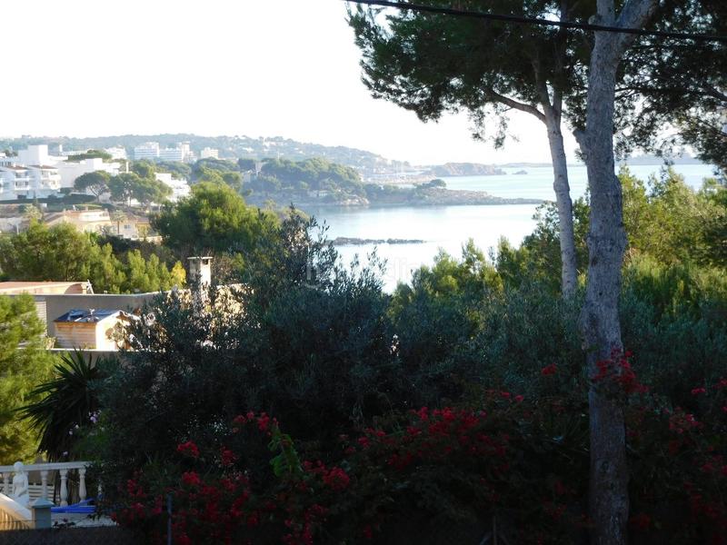 Foto 044e7519-745b-43f3-b753-7bd07537ae2b. Rural plot in Palmanova Calvià