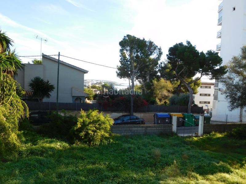 Foto ed176c68-67a3-42b5-a15a-511d03893728. Rural plot in Palmanova Calvià