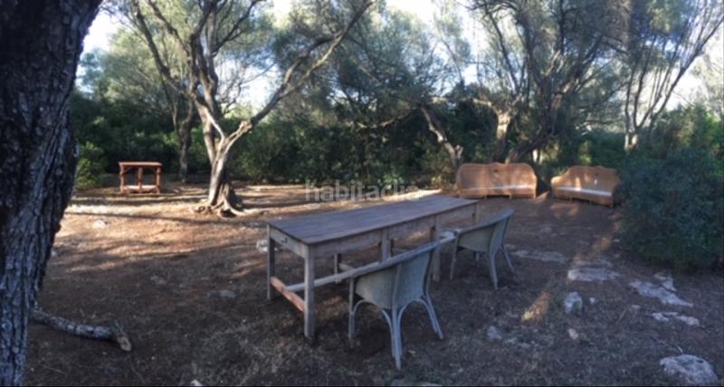 Foto 8912460e-6d6d-48f8-b78d-461b87ac60c9. Finca rústica a Felanitx poble Felanitx