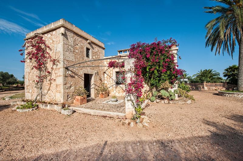 Foto 681a9fe2-4f88-473c-b3c2-6b52d355ec4f. Bauernhof mit parking in Campos