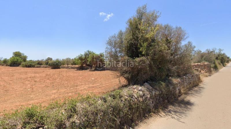 Foto 322cc746-3654-4171-8621-7ee5fd43e56b. Fondo rustico in Cala Figuera Santanyí