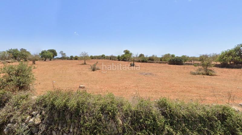 Foto 454fe645-8ae0-4f18-98af-965c96eef1bb. Fondo rustico in Cala Figuera Santanyí