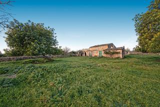 Mas à Maria de la Salut. Finca rústica en venta en maria de la salut, mallorca