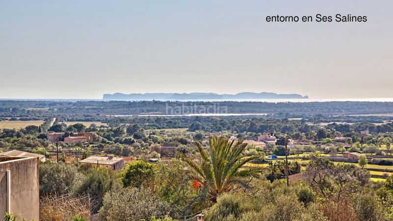 Foto 49788e48-89b7-4fe7-9574-73a4ff219c20. Finca rústica a Ses Salines poble Ses Salines