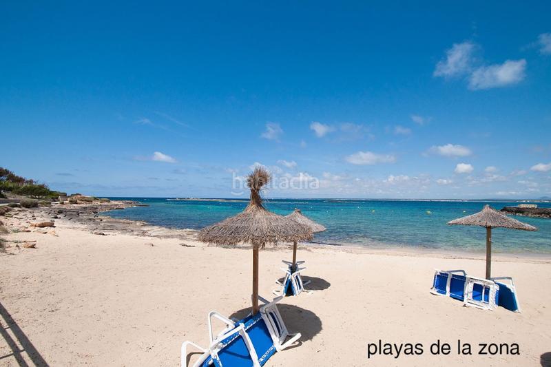 Foto 5a701d68-6a02-4b67-896a-a36613569e4e. Finca rústica a Ses Salines poble Ses Salines